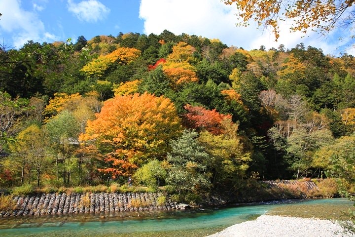 Day2–2：【日本長野】秋光金羽上高地