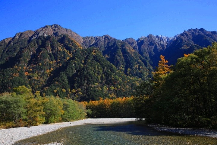 Day2–2：【日本長野】秋光金羽上高地