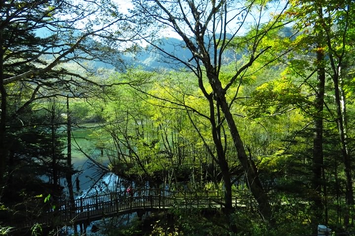 Day2–2：【日本長野】秋光金羽上高地