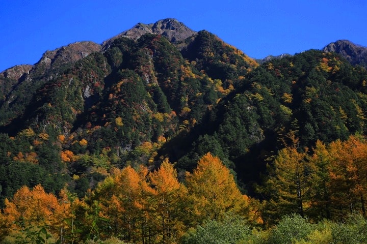Day2–2：【日本長野】秋光金羽上高地