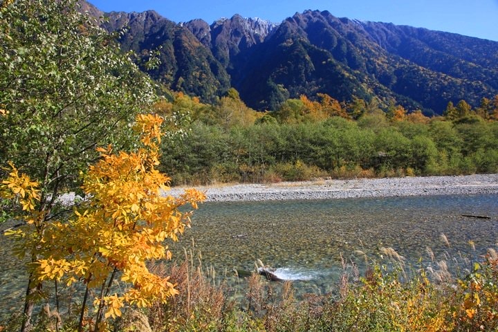 Day2–2：【日本長野】秋光金羽上高地