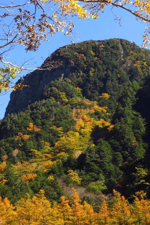 Day2–2：【日本長野】秋光金羽上高地