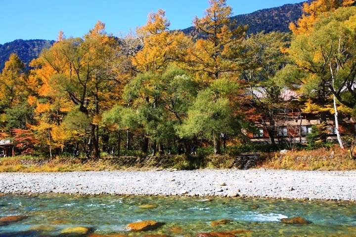Day2–2：【日本長野】秋光金羽上高地