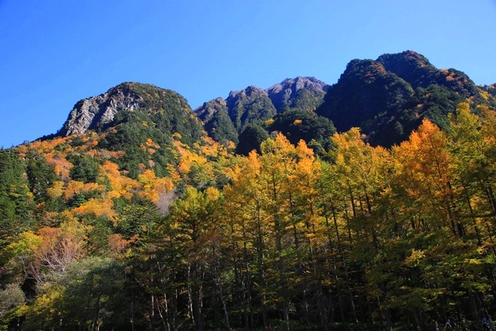 Day2–2：【日本長野】秋光金羽上高地