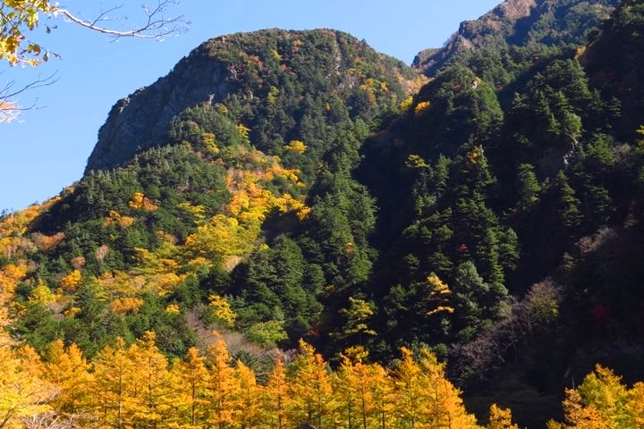 Day2–2：【日本長野】秋光金羽上高地