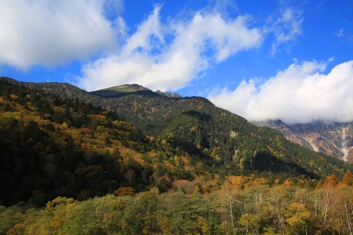 Day2–2：【日本長野】秋光金羽上高地