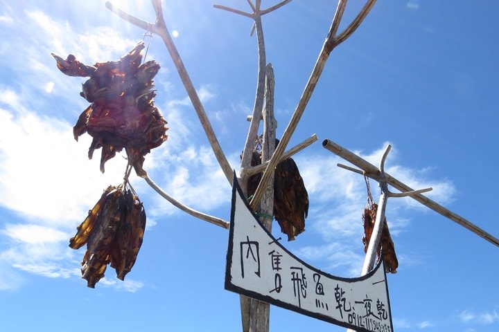 IMG_8720.JPG - 20160619:【台東蘭嶼】環島、蘭嶼燈塔、鰭尾山、雙獅岩、情人洞、東清灣、龍頭岩