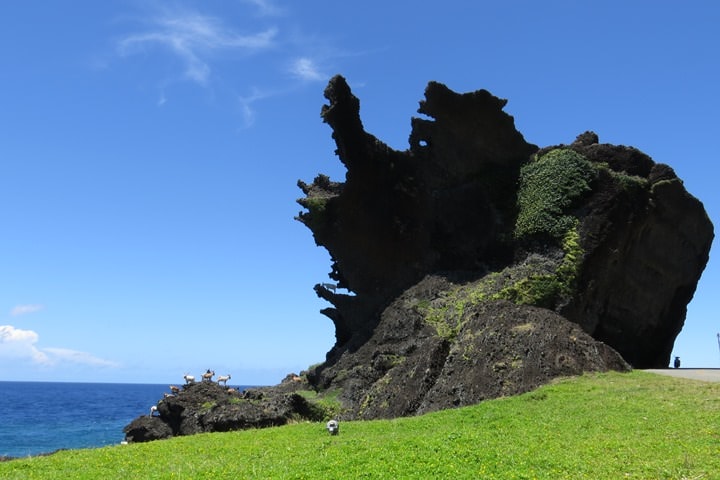 IMG_8759.JPG - 20160619:【台東蘭嶼】環島、蘭嶼燈塔、鰭尾山、雙獅岩、情人洞、東清灣、龍頭岩