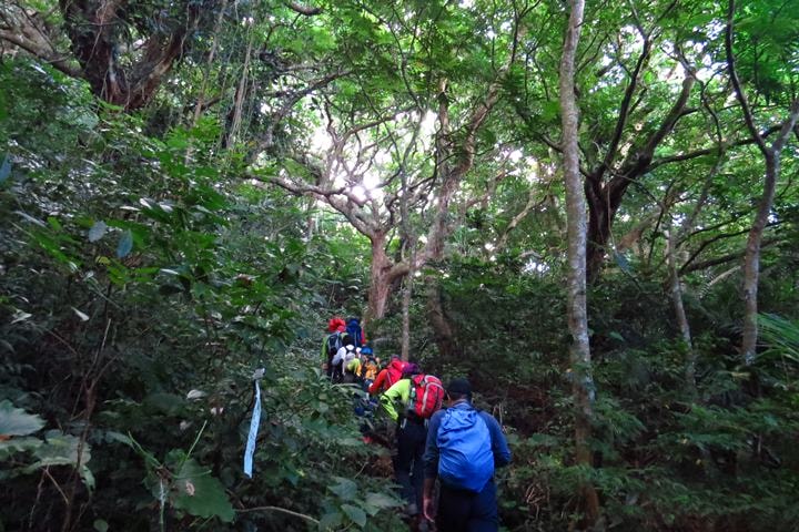 IMG_8510.JPG - 20160618:【台東蘭嶼】紅頭山、饅頭岩、大天池