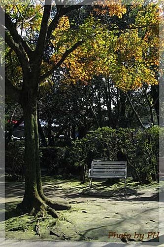 草山秋歌(四)