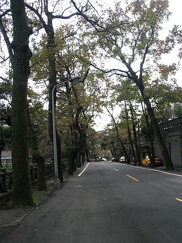 草山秋歌