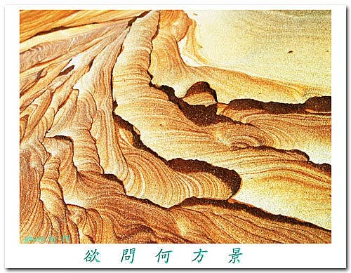 心影