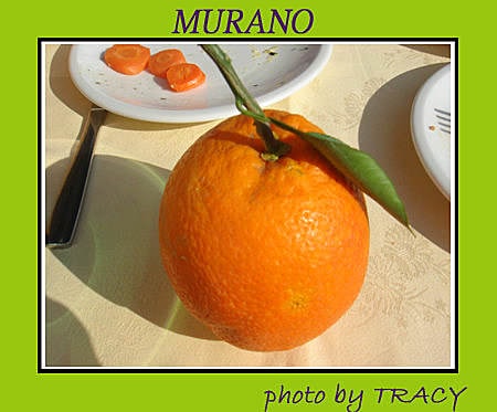 Day3–2【威尼斯】Murano的午餐-ANTICA TRATTORIA MURANESE s.r.l.